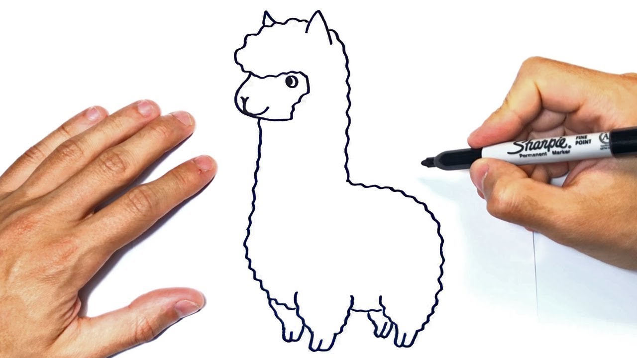 Como dibujar una Llama o Alpaca Paso a Paso