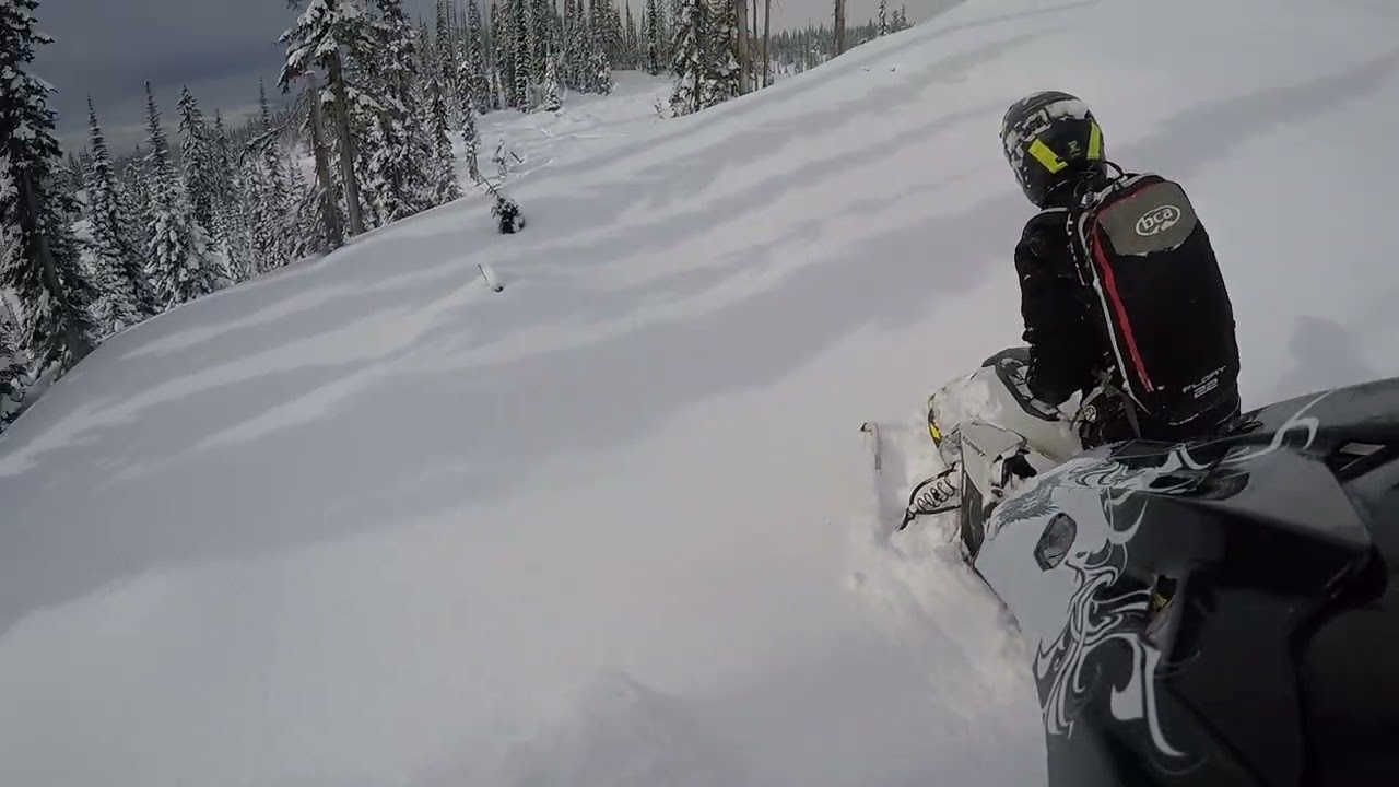 Griffin meadows, Adam was thirsty