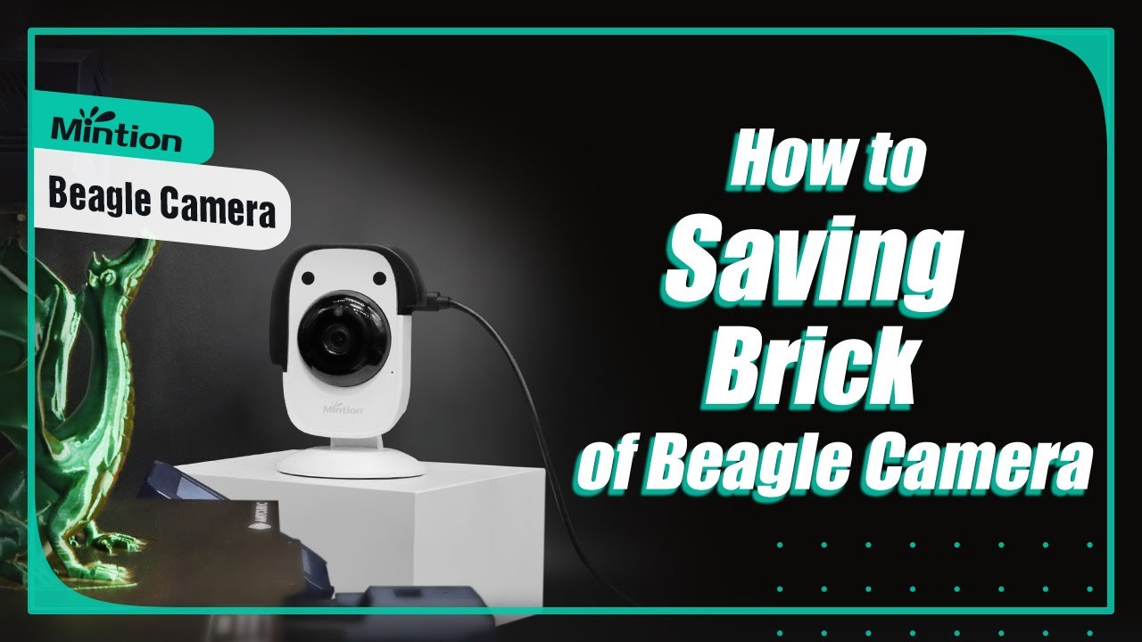 06---How to Saving Brick Beagle Camera