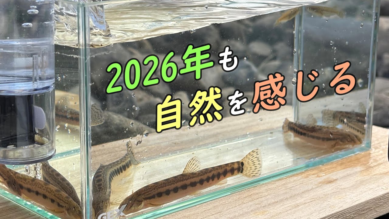 今年も自然を全身で感じたい！　みなさんにもお届けします！！【昼ガサVol.69】