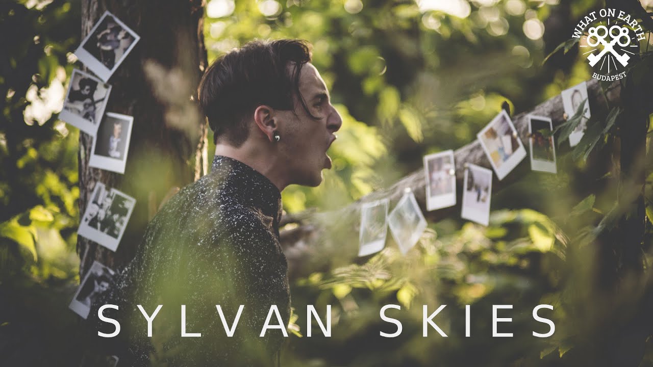 WHAT ON EARTH - SYLVAN SKIES / Official music video