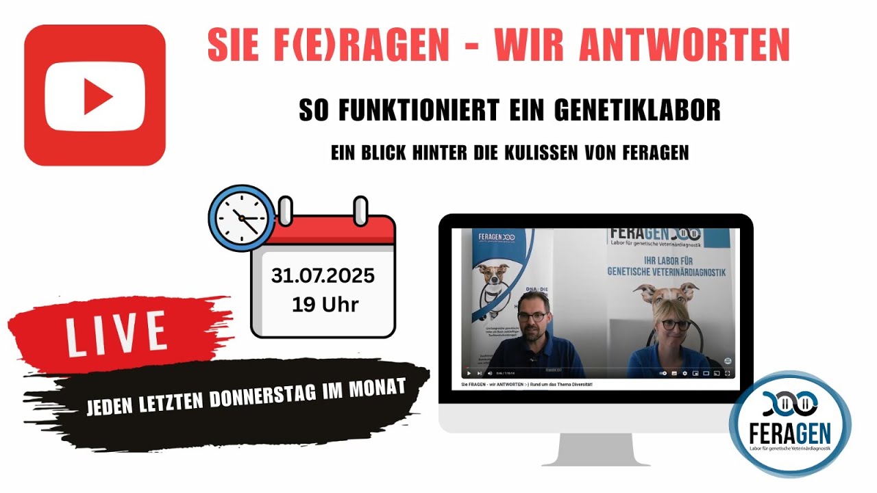 🧬 Wie funktioniert ein Labor (Feragen)?