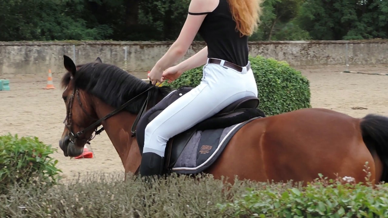 Reprise de Dressage Galop 5, club 3 grand Prix' 13-07-2017