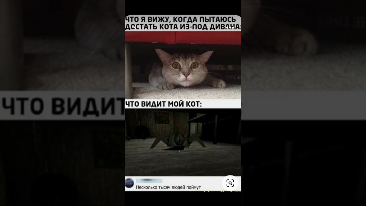 МЕМ #345 #Shorts #Short #Meme #Memes #2022 #Шортс #Шорты