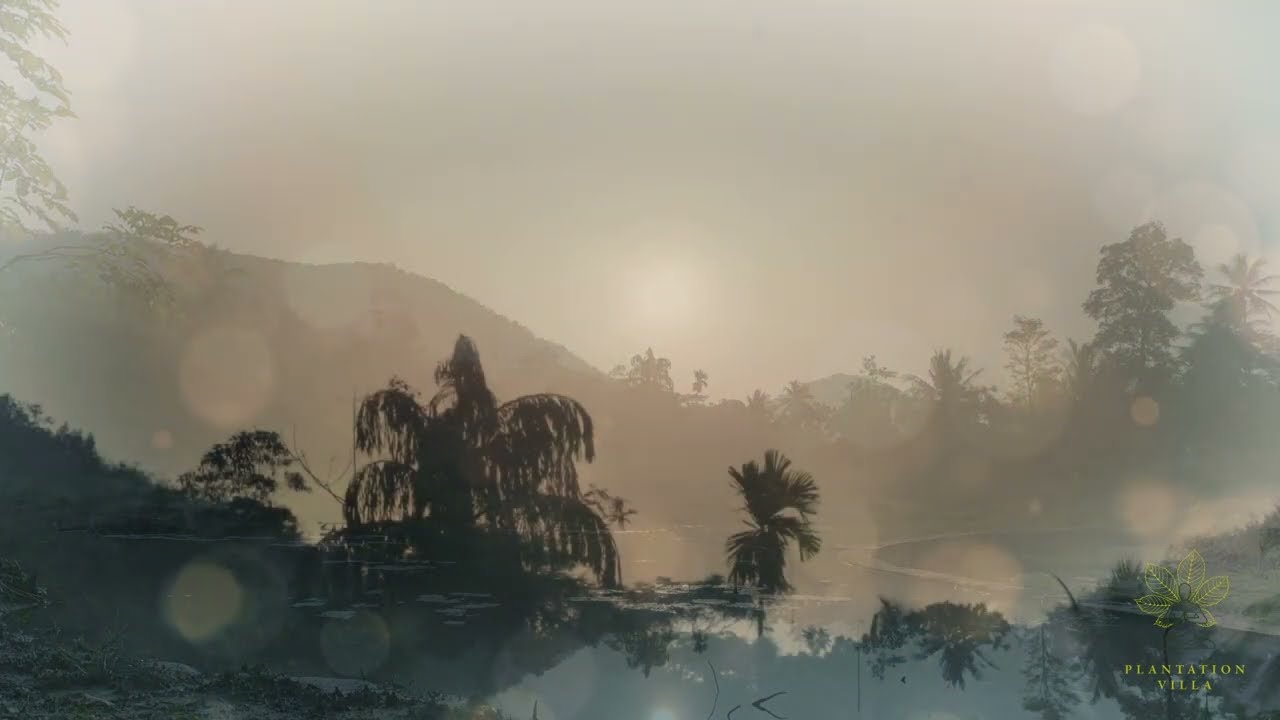 Metta Sutta | Chanting on Love and Kindness by Buddhist Monk