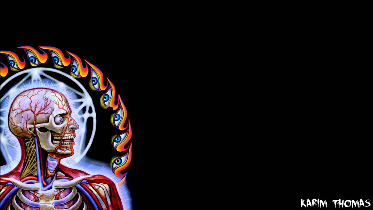 Tool - The Grudge (Instrumental Cover)