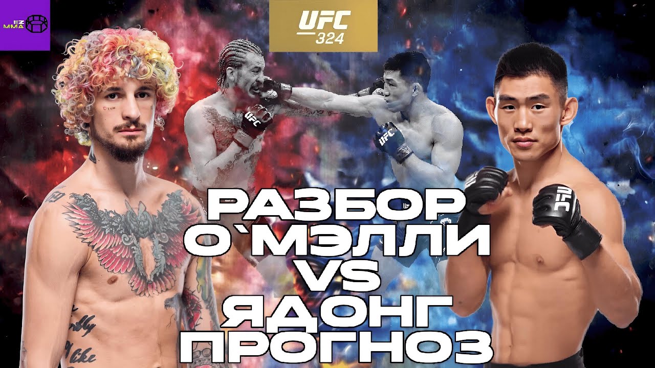 НЕ ВСЕ ТАК ОДНОЗНАЧНО! Шон О'Мэлли VS Сонг Ядонг