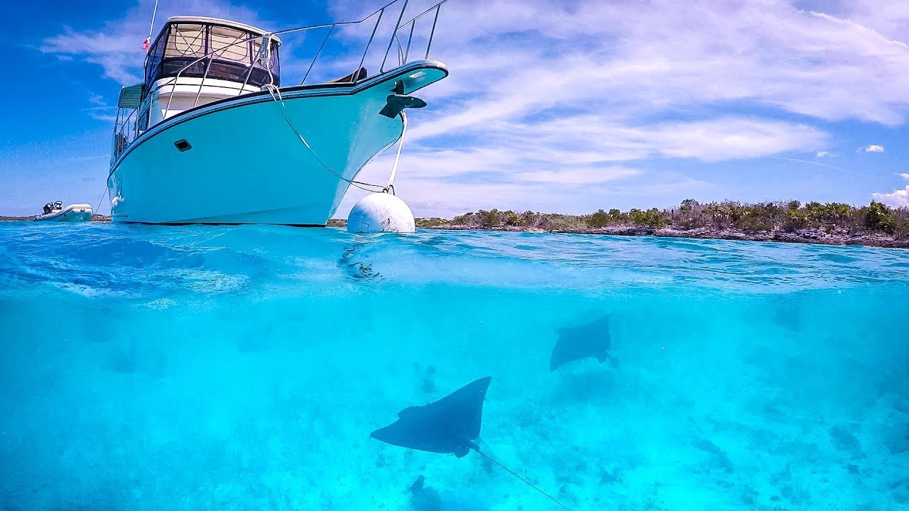 Eagle Rays & Turtles Say 13 is Our Lucky Number - Warderick Wells Exuma Land & Sea Park Bahamas Ep46