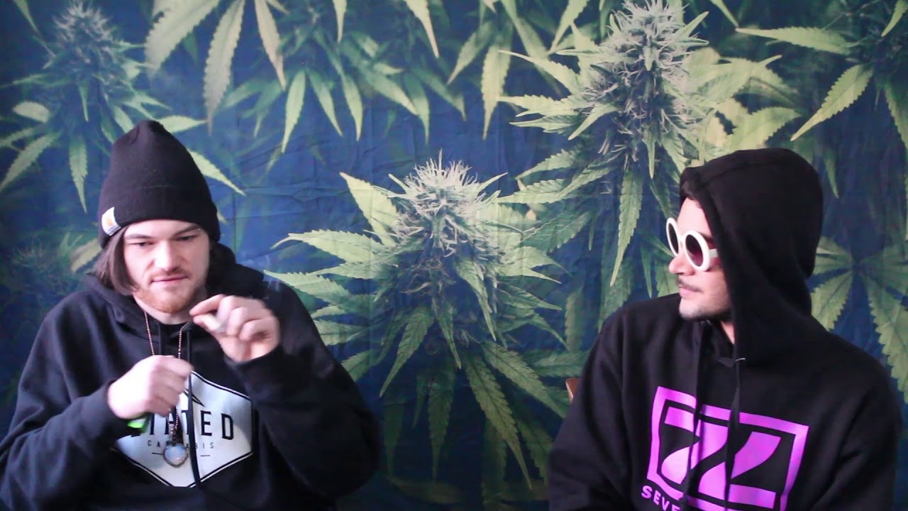 Strain Tasters Cannabis Reviews - Bruce Banner