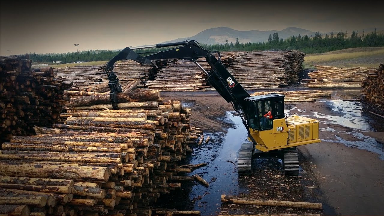 Cat&reg; FM558 Makes Woods Work More Productive, Profitable and Pleasant
