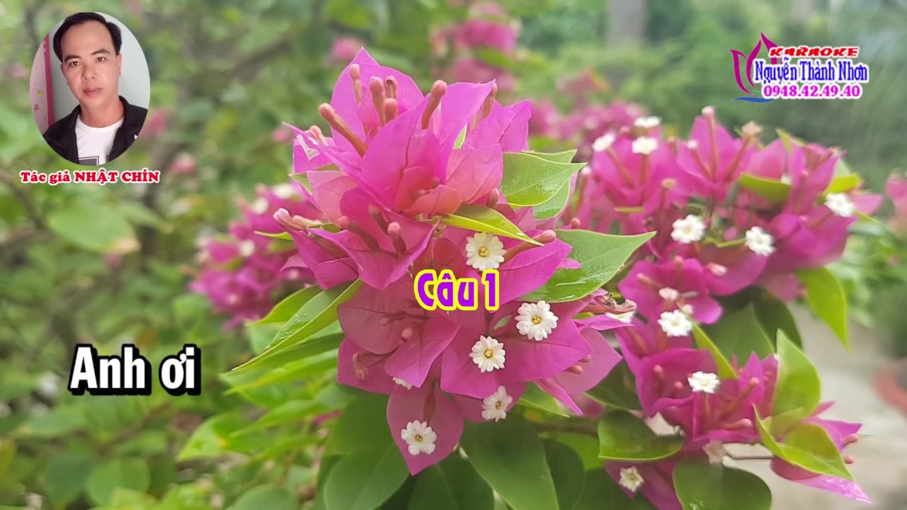 Karaoke vọng cổ NGƯỜI T&Igrave;NH PHỤ - D&Acirc;Y Đ&Agrave;O [T/g Nhật Ch&iacute;n]