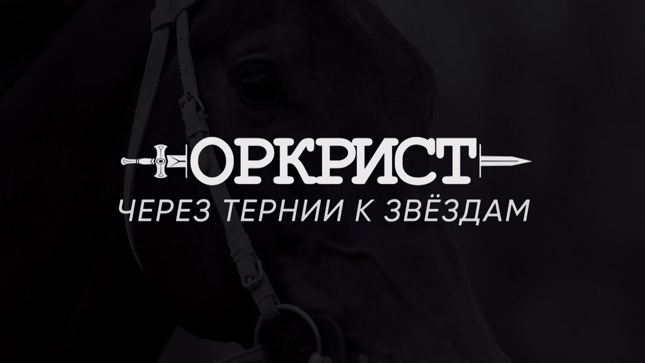PRO_Лошадей. Оркрист. 25 февраля 2024 года. 14:10