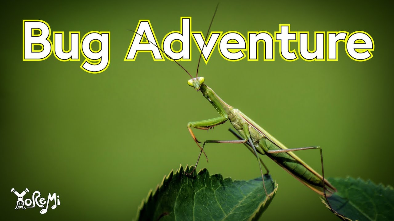 Bug Adventure | Kids Yoga, Music and Mindfulness with Yo Re Mi