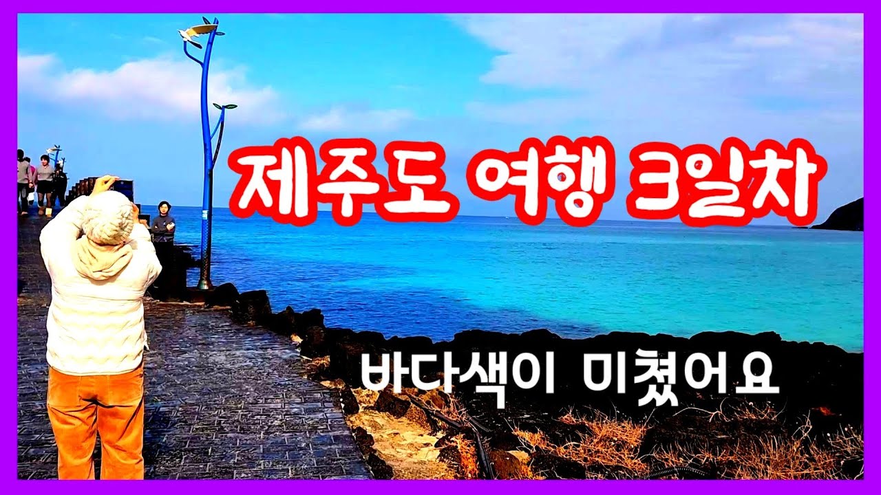 25. 12. 30. 제주여행 3일차 - 바다색이 미쳤어요~~ 48시간 투어패스 마무리