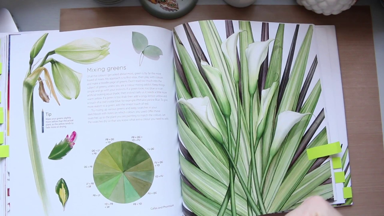 Botanical Painting In Watercolour by Billy Showell | Book Review