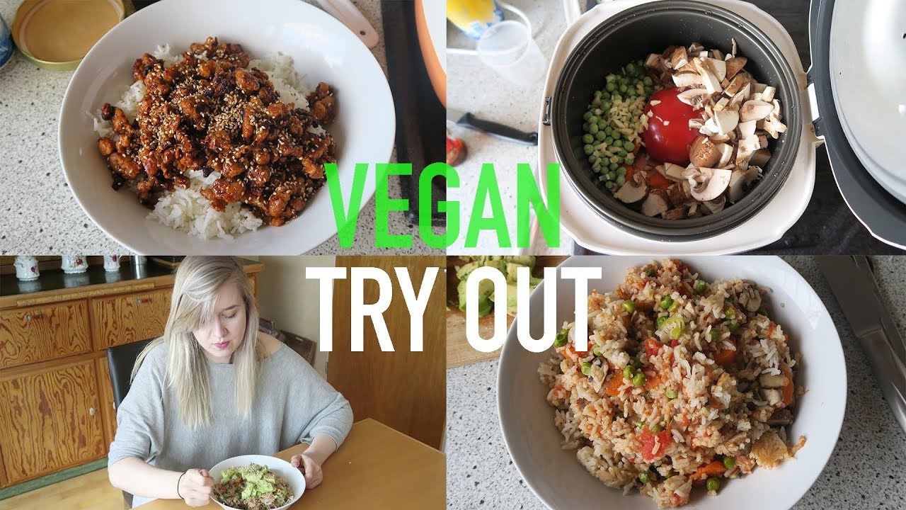 VEGAN TRY OUT selbstgemachter Seitan und easy Reisgericht