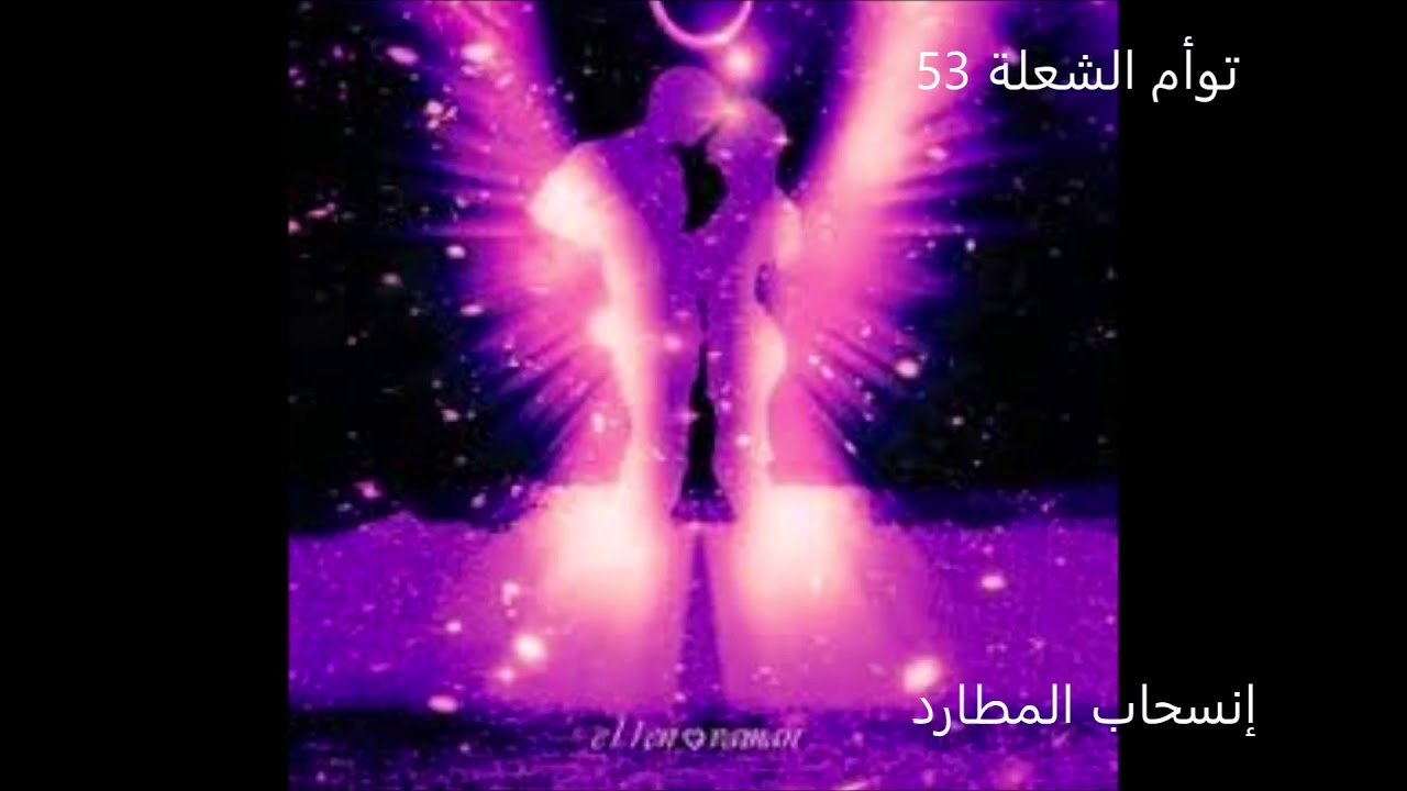 توأم الشعلة 53  -- إنسحاب المطارد