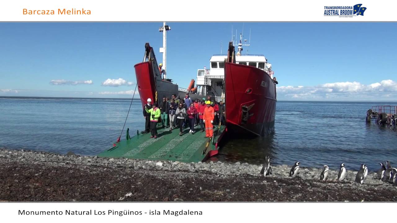 Monumento Natural Los Pingüinos - isla Magdalena