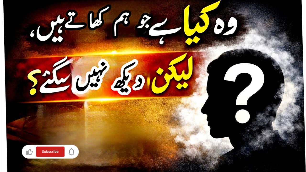 Islamic Quiz in Urdu with Answers - Test Your Islamic Knowledge Quiz