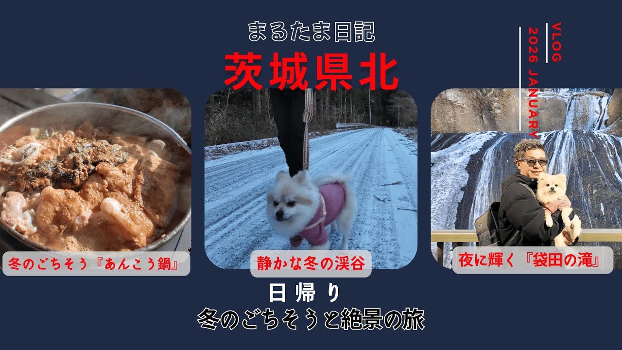 【犬連れ茨城】冬の北茨城へ🐾 あんこう鍋と絶景の日帰り旅