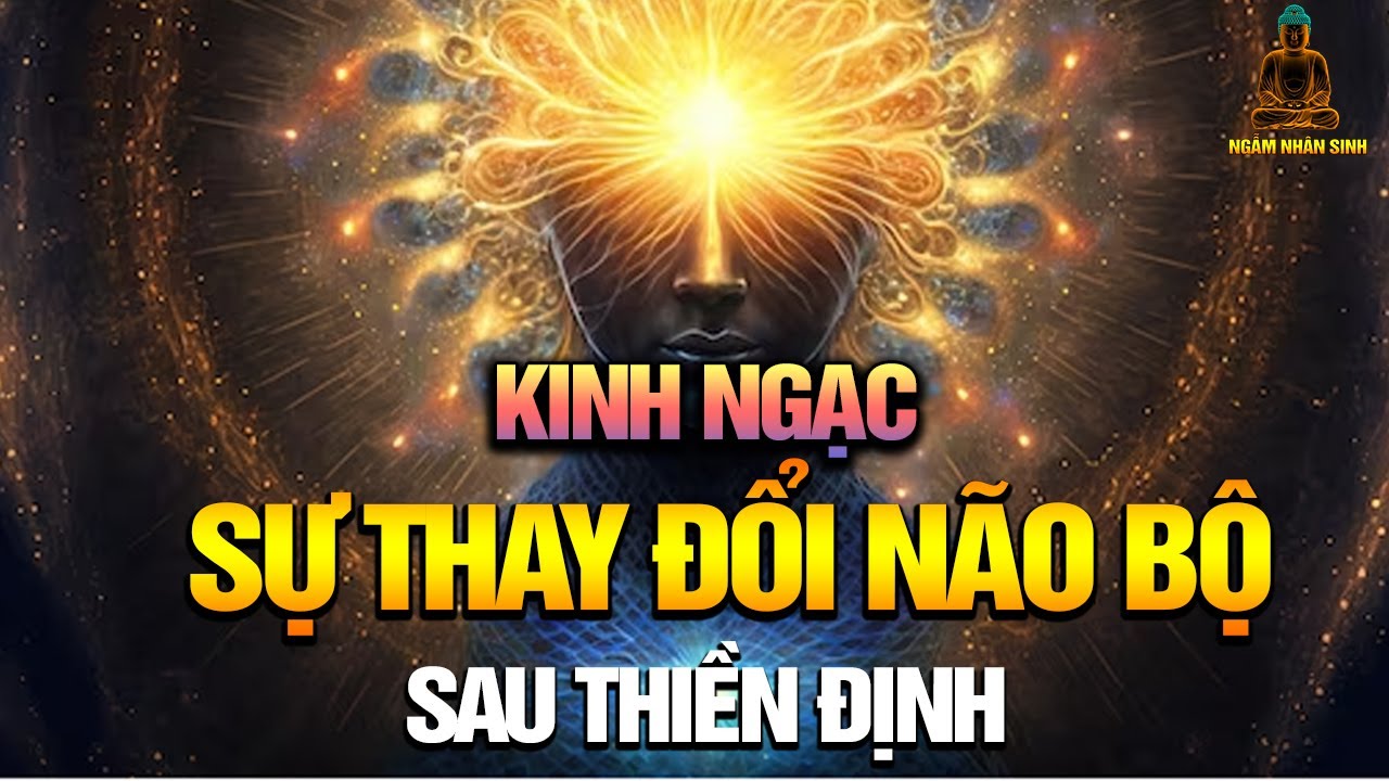 Sự Biến Hóa Của Đại Não Sau THIỀN ĐỊNH - Phép Màu Xảy Ra | Ngẫm Nhân Sinh
