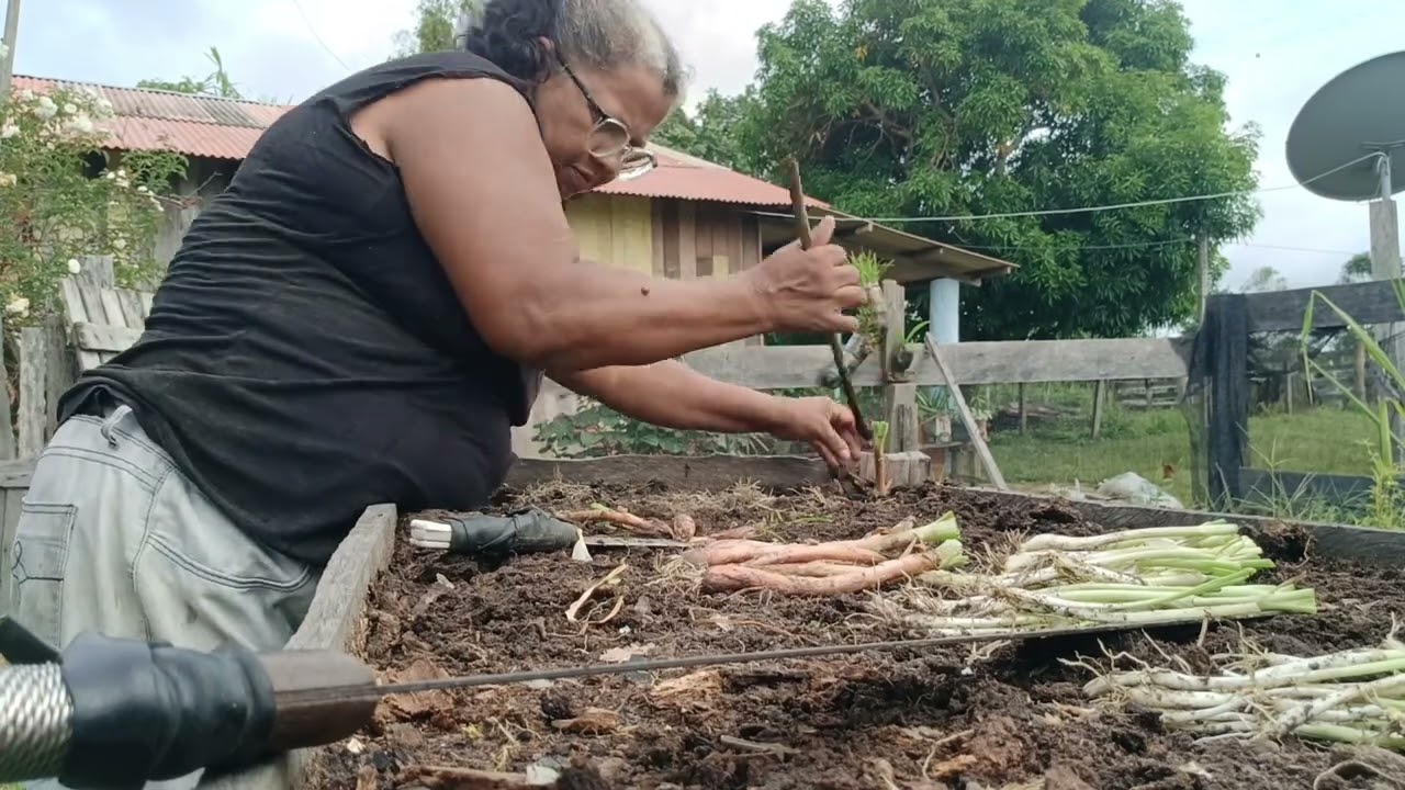 3 de março de 2026