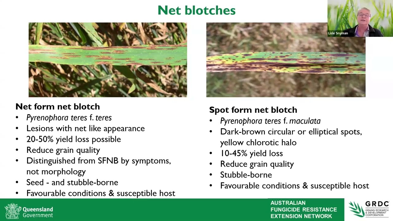 AFREN 2025 Fungicide Resistance Webinar - Barley diseases & Fungicide Resistance 101