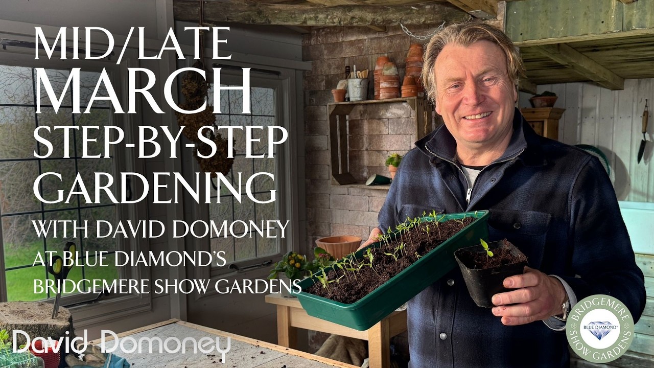 Mid/Late March | Step-by-Step Gardening at Blue Diamond's Bridgemere Show Gardens | Episode 10