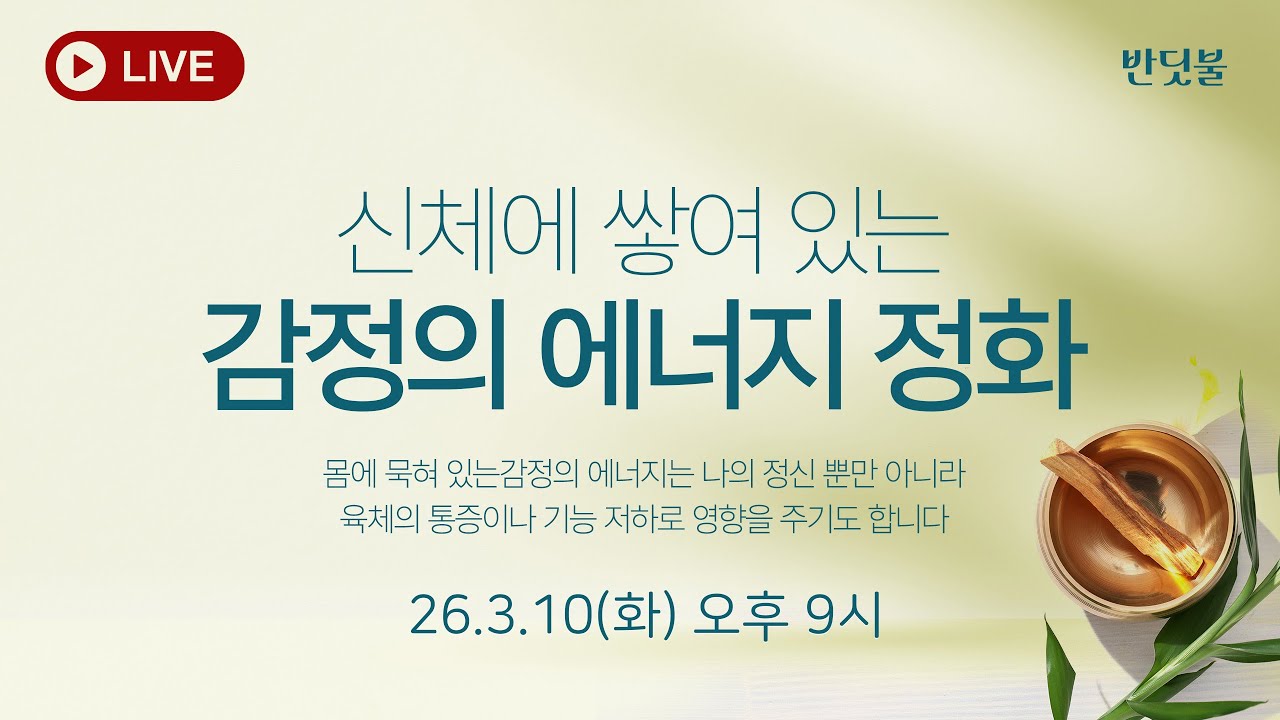 [정화&치유] 26.3.10(화) /신체에 쌓여 있는 감정의 에너지 정화