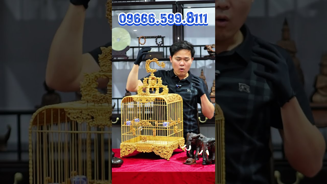 ⚜️ 𝐋𝐨̂̀𝐧𝐠 𝐂𝐡𝐢𝐦 𝐐𝐮𝐲́ 𝐓𝐨̣̂𝐜 Độc Quyền tại Việt Nam