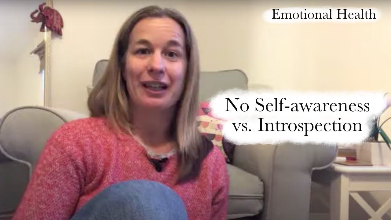 No Self-Awareness Versus Introspection