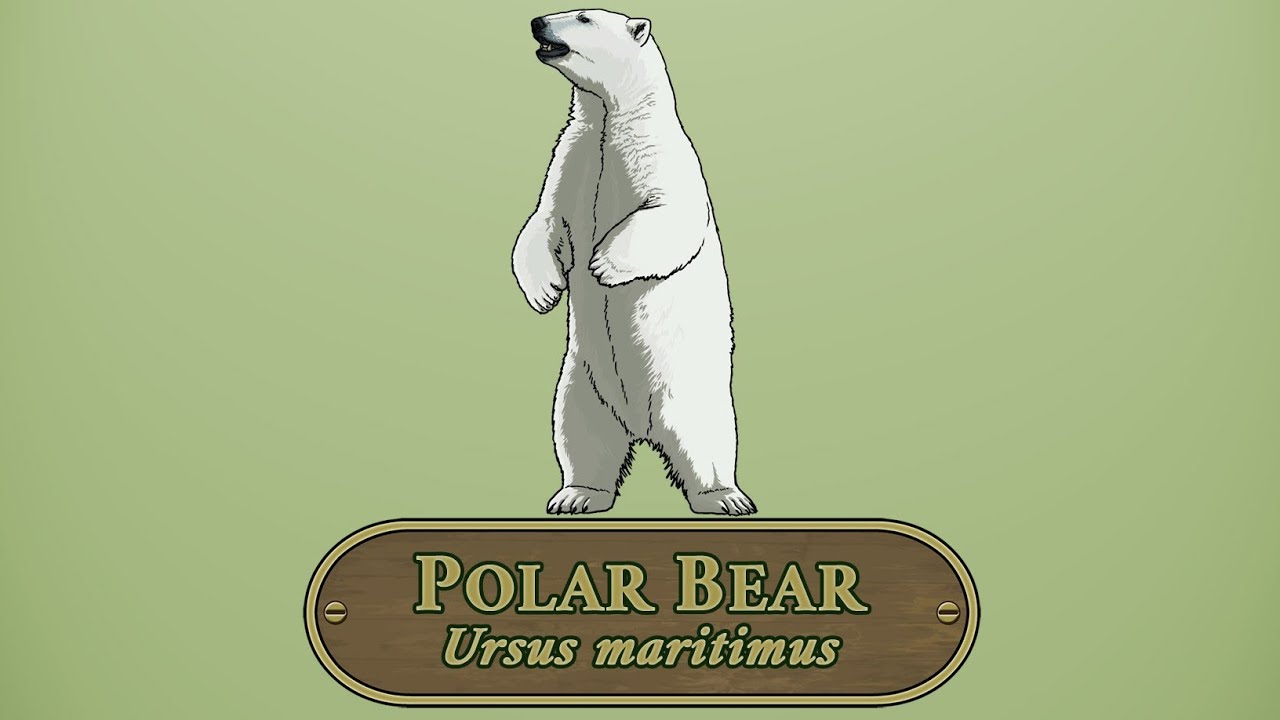 A Polar Predator | S6E2