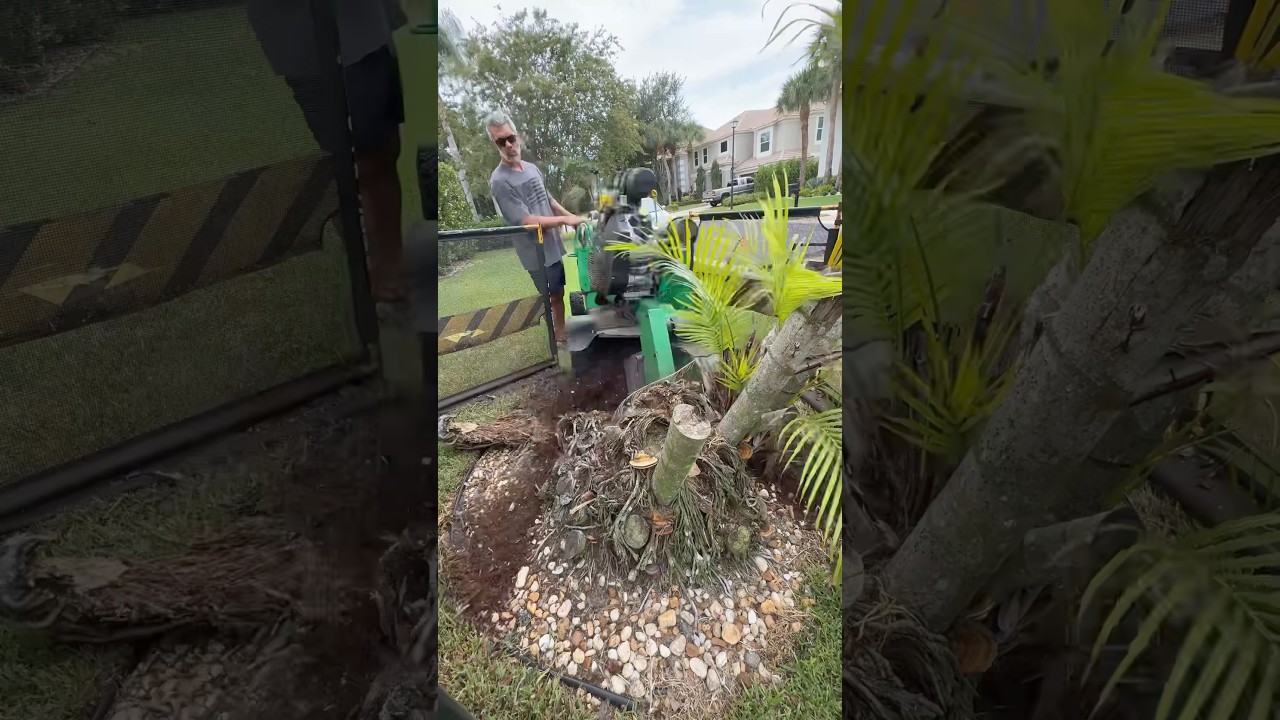 AirWrekka Palm Tree Stump Grinder in action