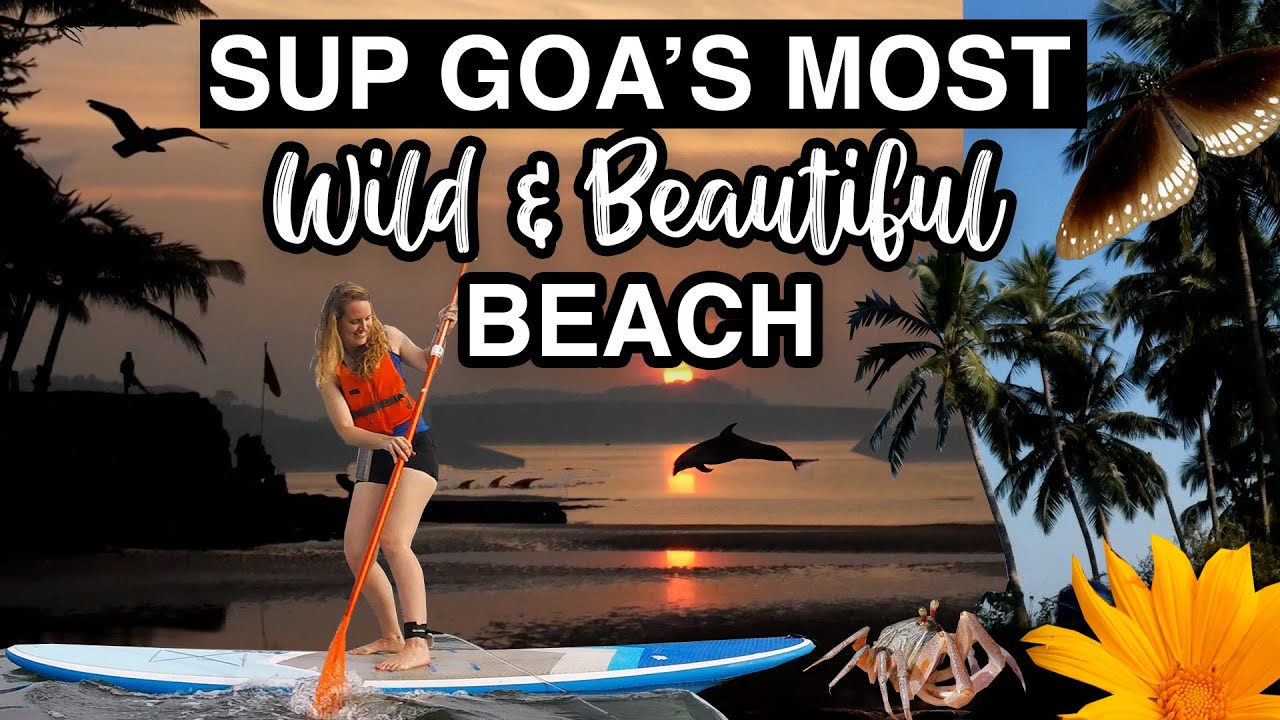 SUP GOA'S MOST WILD AND BEAUTIFUL BEACH | HOLLANT BEACH | STAND UP PADDLE BOARDING | DOLPHINS