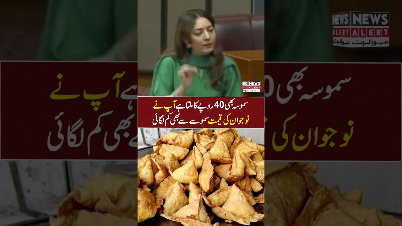 Sharmila Faruqui Slams Government Over Funds For Youth Development In Budget