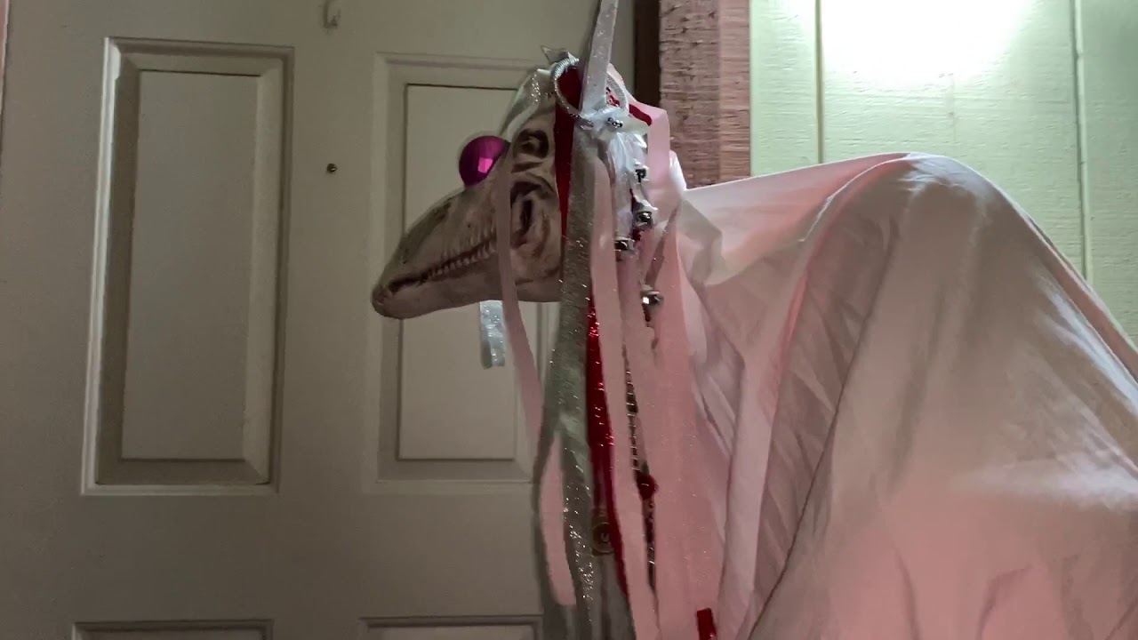 Mari Lwyd - 6th Time