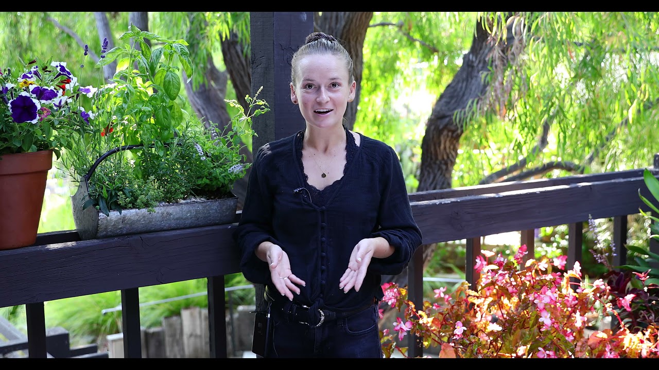 How to Create a Small Space Balcony Garden with Melissa Martens