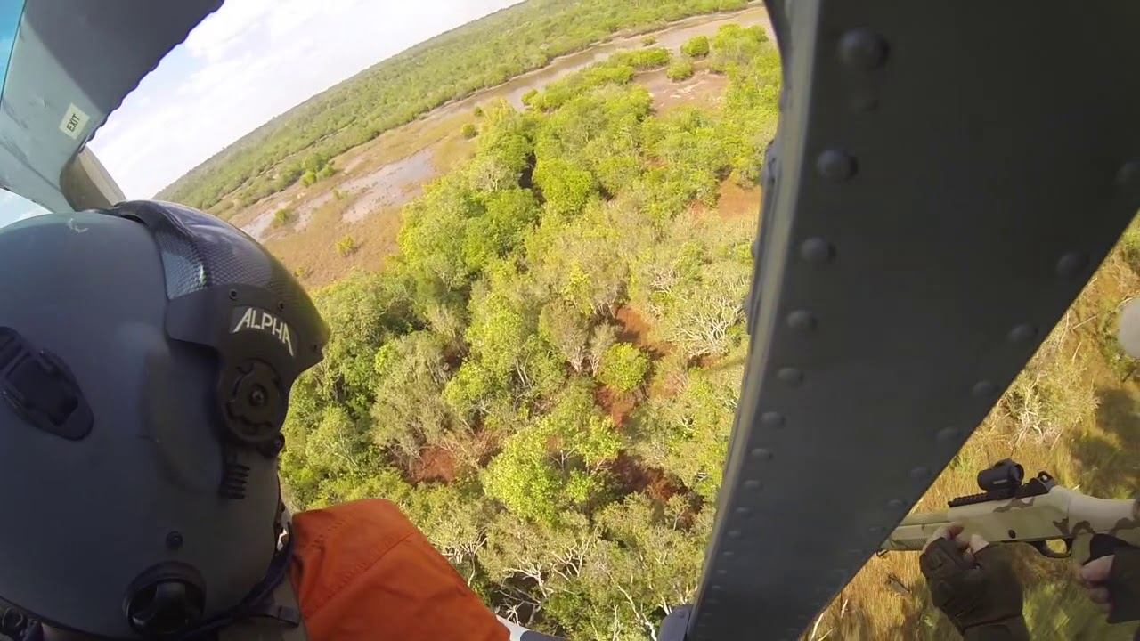Feral pig control - how aerial shooting is most of the time