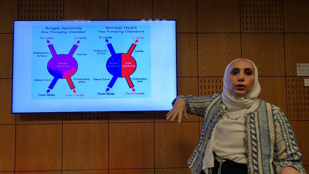 Single Ventricle (Part 1) - Soha Romeih