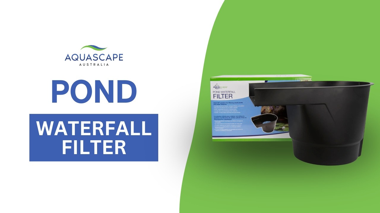 Pond Waterfall Filter Explained | Easy Filtration for Small Ponds