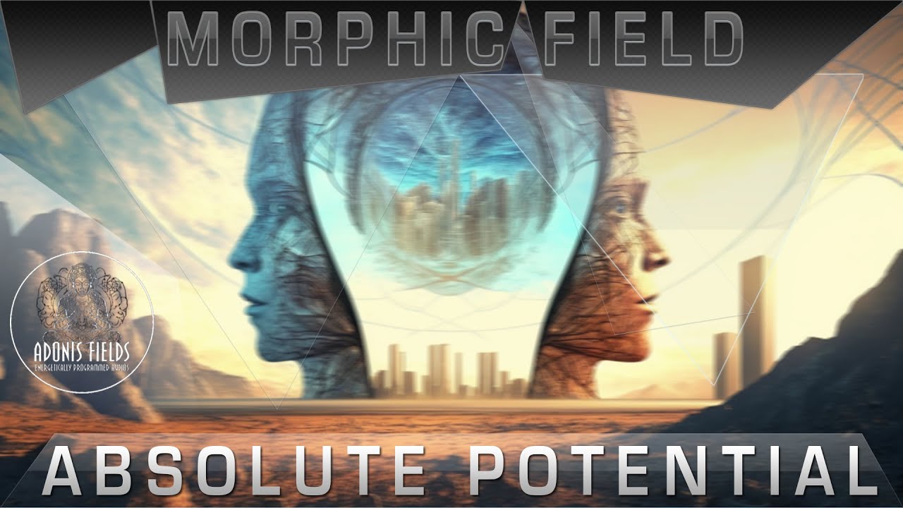 (Morphic field) Absolute Potential