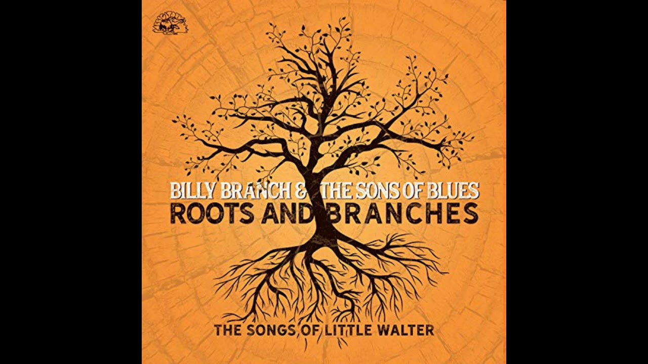 Billy Branch -  Blues with feeling