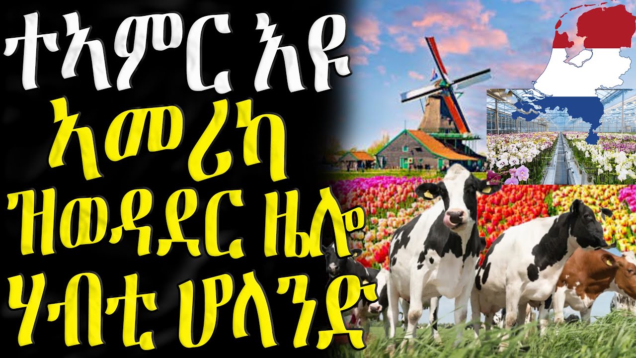ተኣምር እዩ! ኣመሪካ ዝወዳደር ዜሎ ሃብቲ ሆላንድ - 18/10/2025