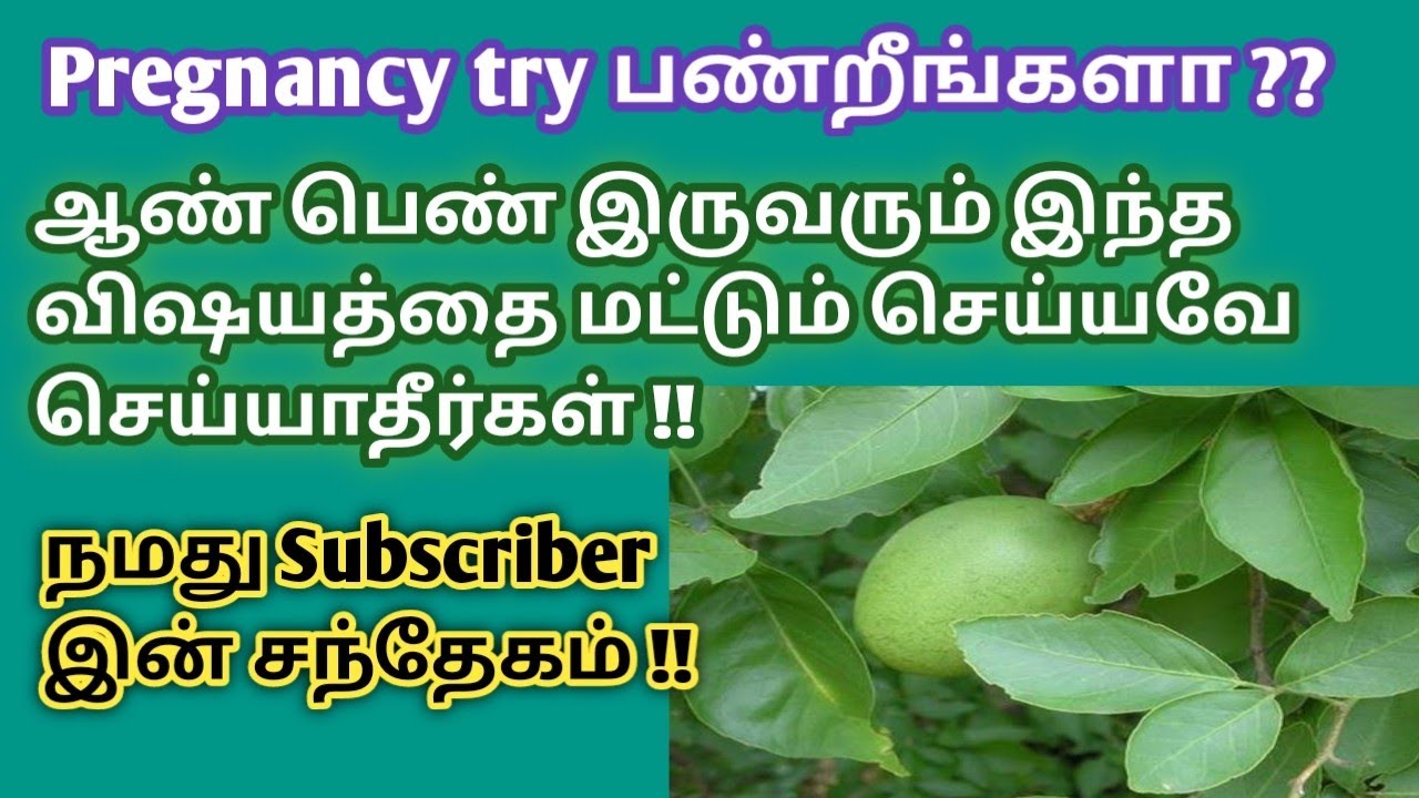 fertility benefits of bilva or vilva leaves in tamil | Negative effects of vilva leaves on fertulity