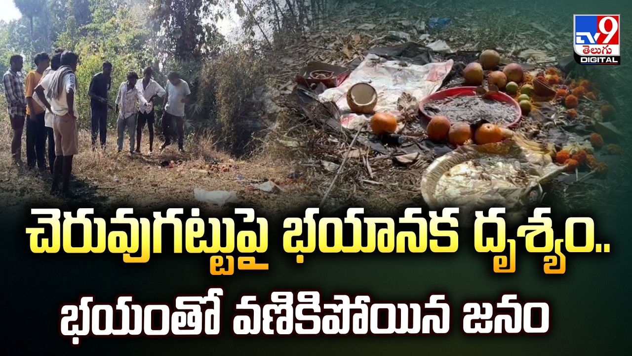 చెరువుగట్టుపై భయానక దృశ్యం.. భయంతో వణికిపోయిన జనం | Midnight Sorcery at Vizianagaram?  -TV9