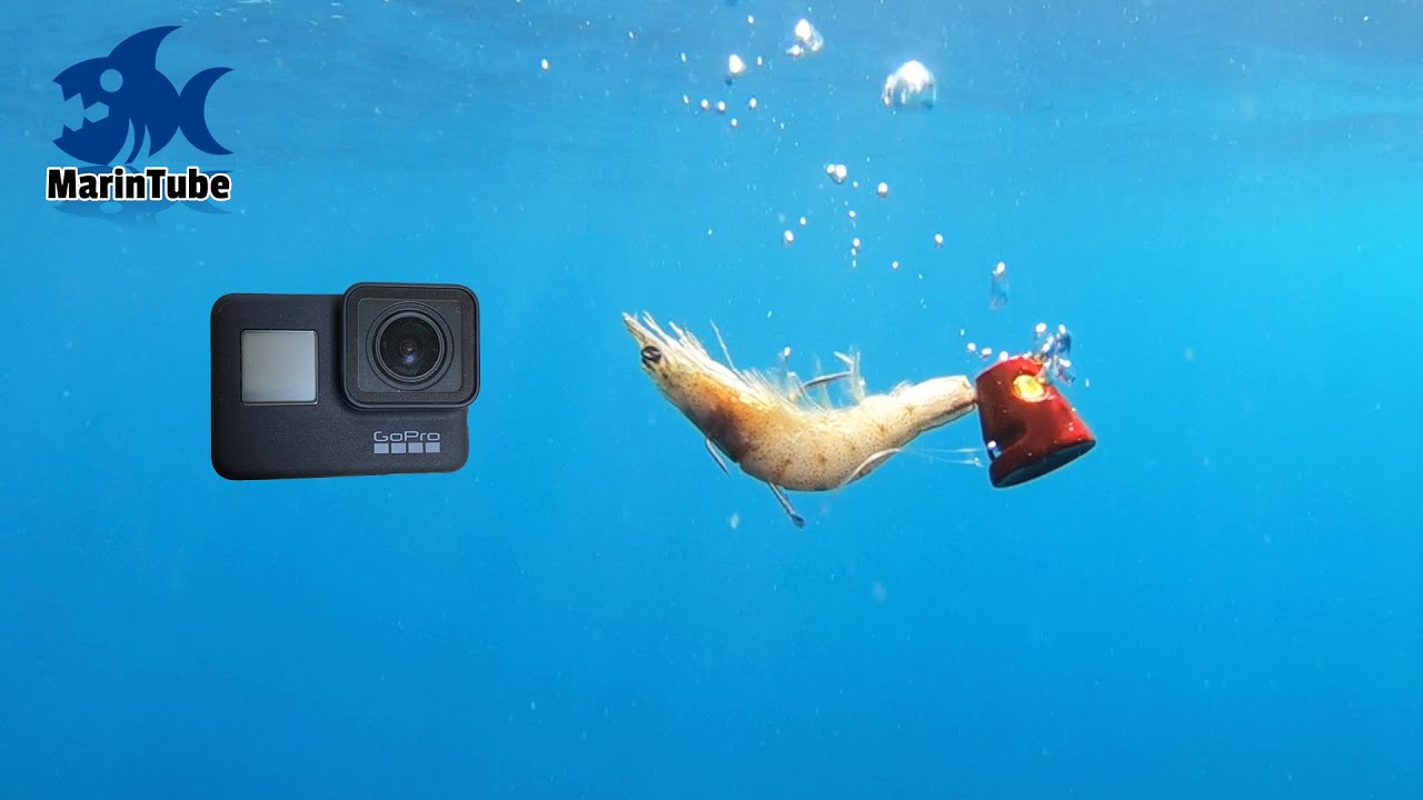 Я уронил GoPro и креветку в воду глубиной 70 метров... №1.