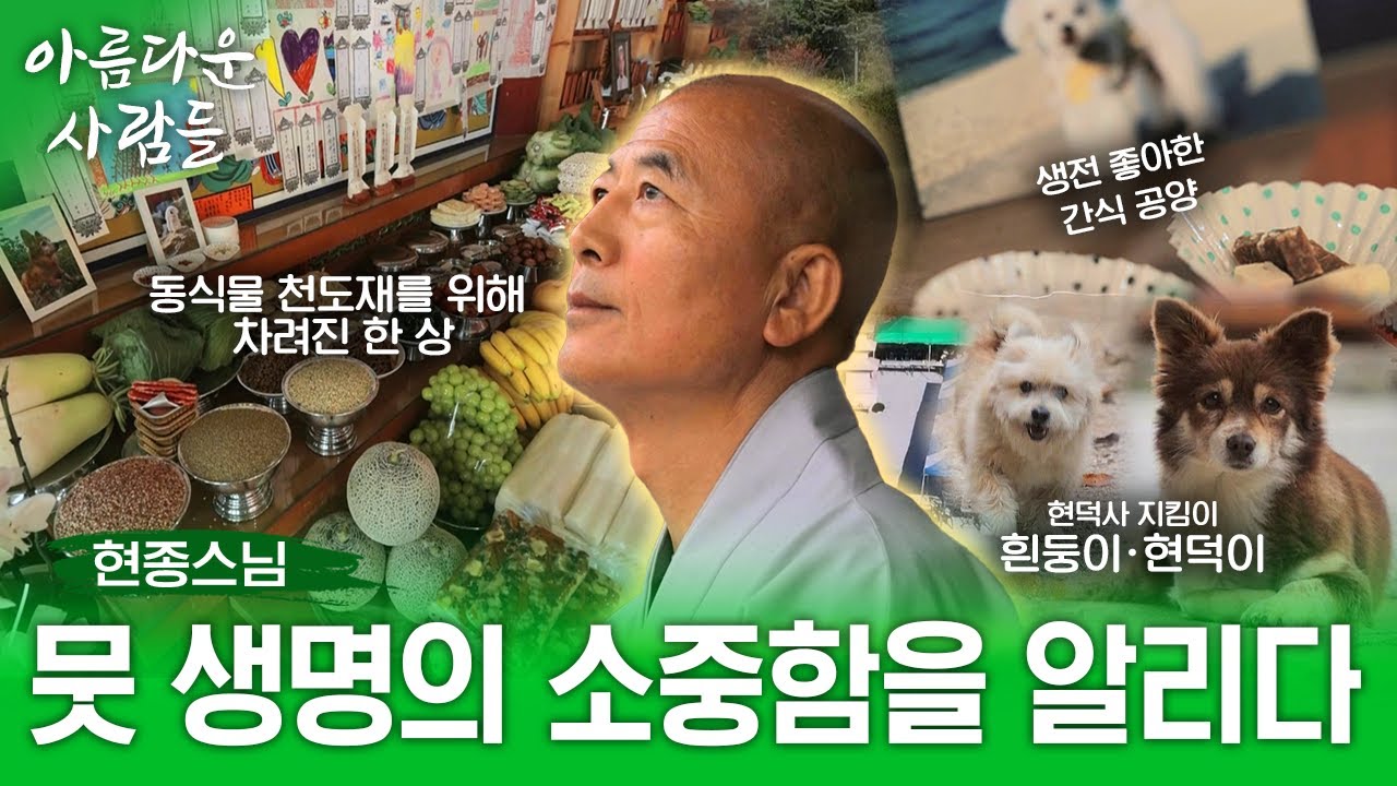 생명에는 귀천없고 경중없다. 모든 동식물을 위한 천도재를 시작한 절 현덕사 현종스님! | 아름다운 사람들 17화 (전체풀영상)