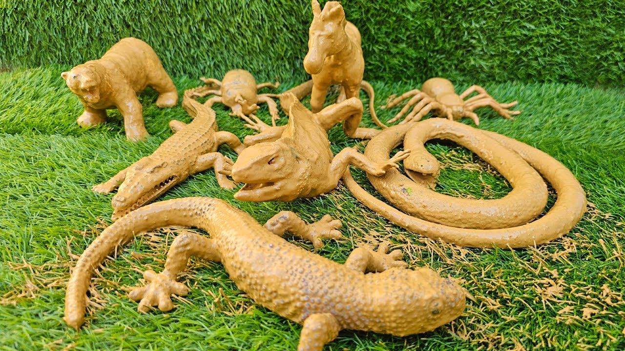 The Ultimate Jungle Field Guide for Kids: Animals, Insects & More!