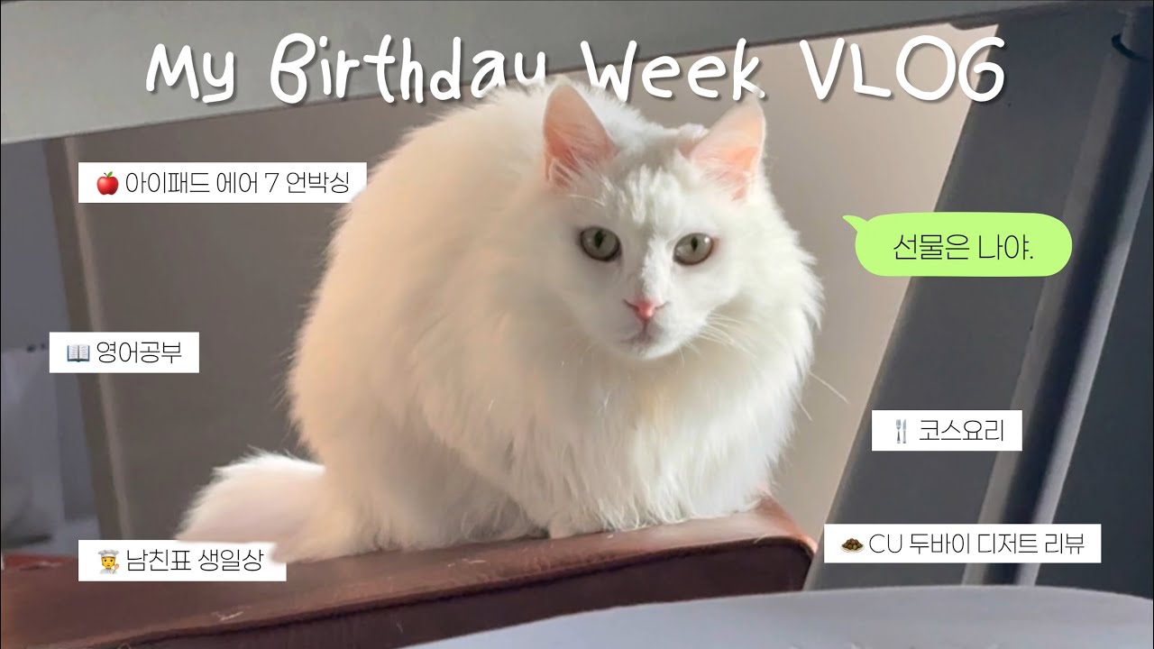 eng)🎉VLOG🎂 | 영어공부📑 | 오래된 책 정리📦 | 코스요리 먹기🍣 | 철길부산집 간술🍢 | 생일 한 상 차리기🍲 | CU 두바이 초콜릿 디저트🧆 | 아이패드 언박싱🍎