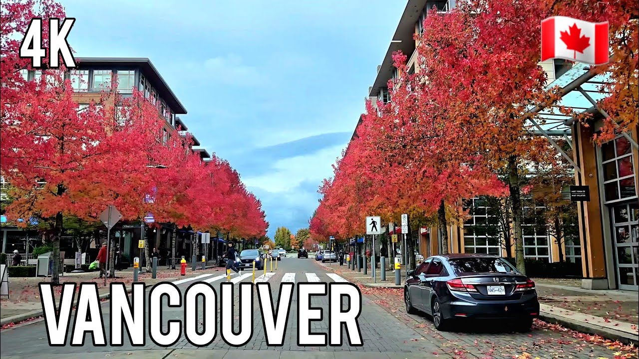 🇨🇦 [4K] 🍁UBC Fall Foliage | Driving Tour- From Campus to Vancouver's Hidden Autumn Gems, BC, Canada